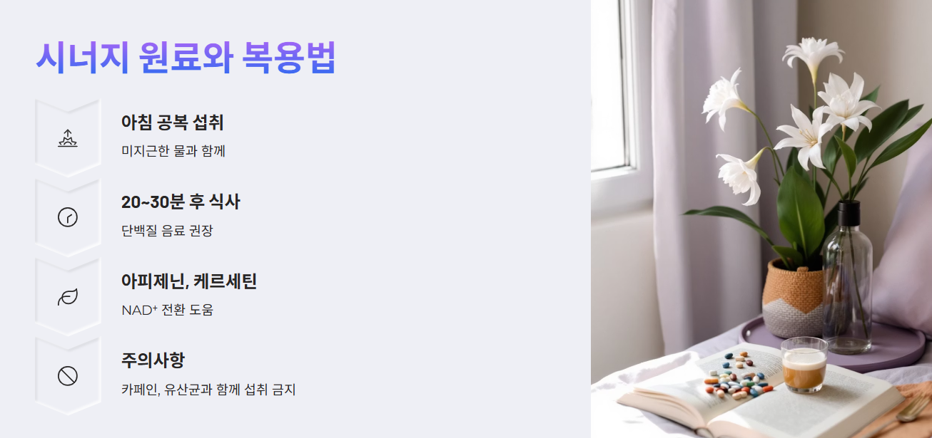 NMN 복용법
