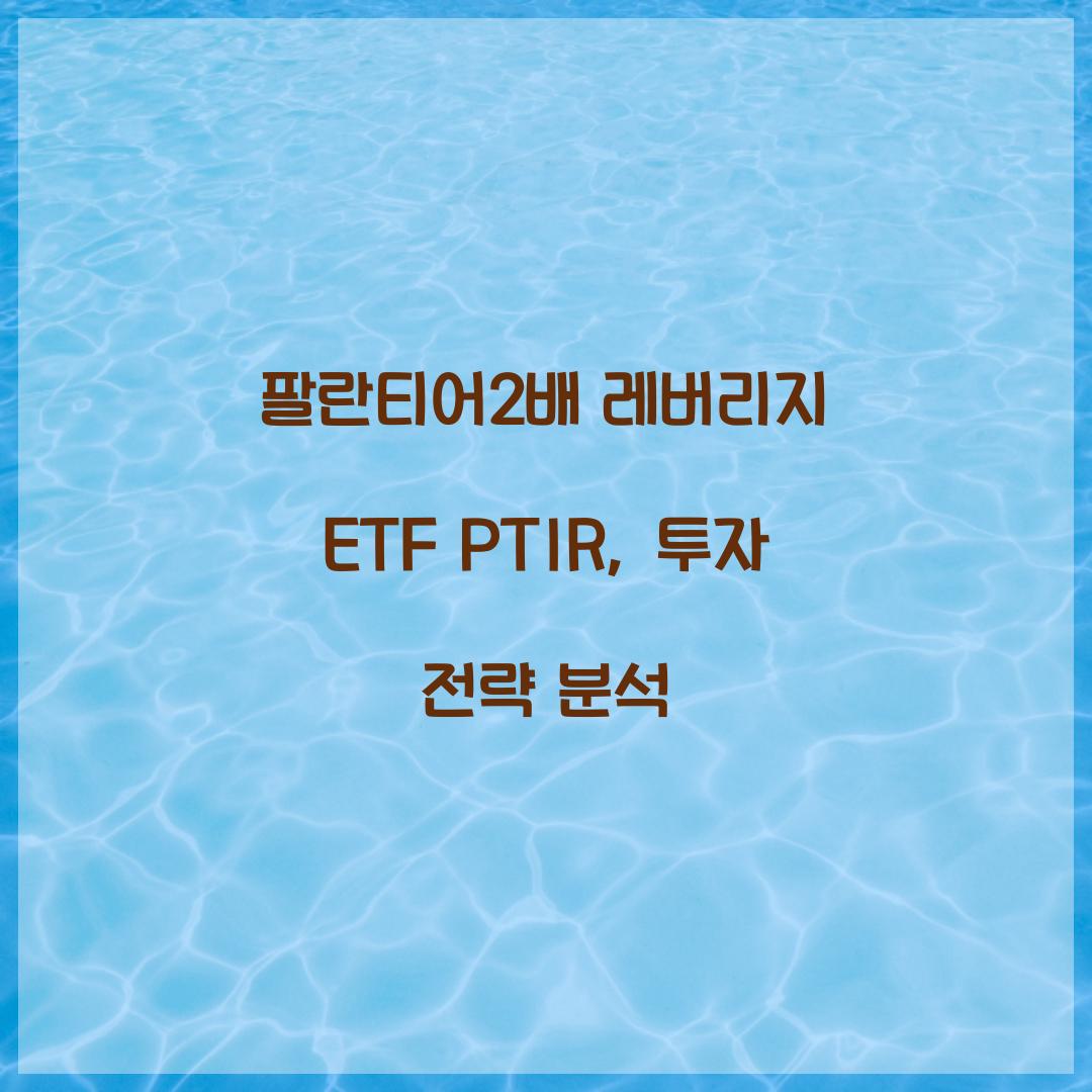 팔란티어2배