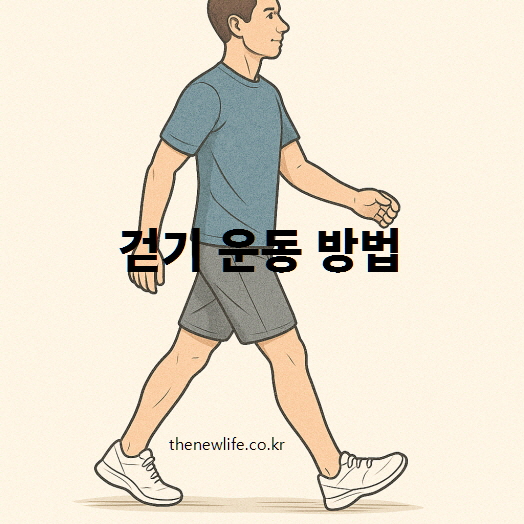 걷기 운동 방법을 설명하는 일러스트 이미지