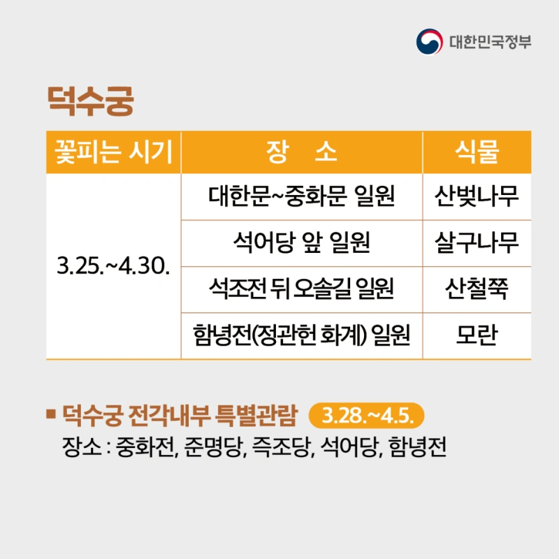 대한민국정부 블로그&#44; 정책공감의 홍보자료 - 서울 4대궁 봄꽃놀이 (덕수궁)