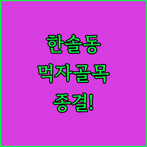 세종 한솔동 먹자골목 맛집 코스와 주..