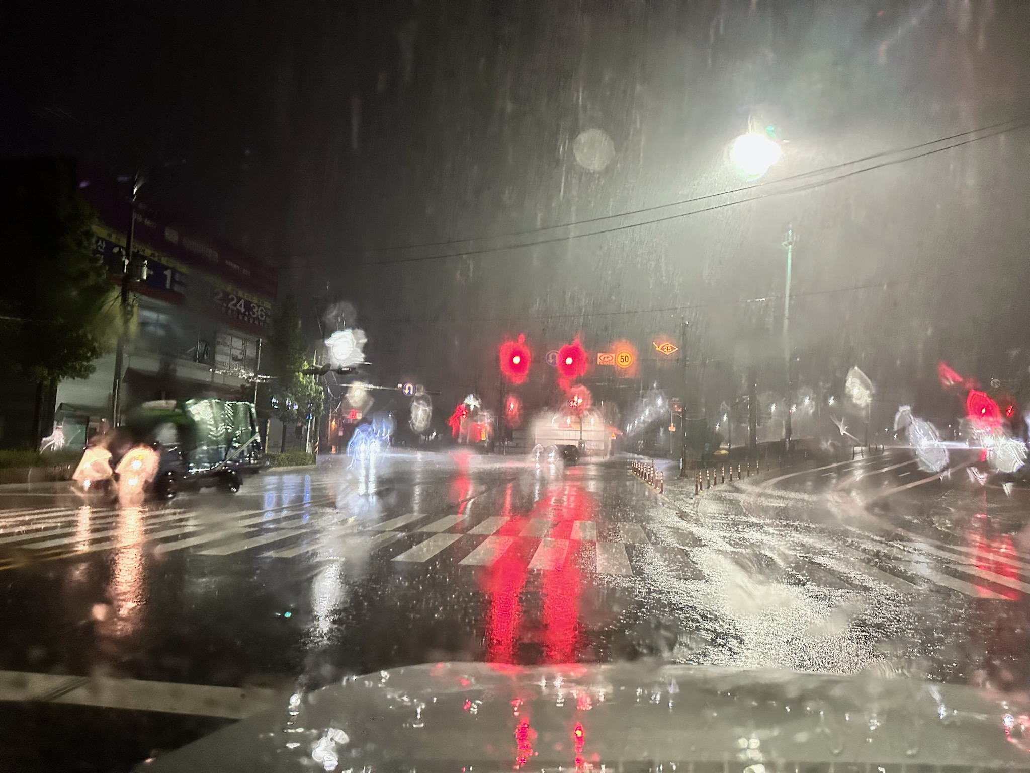 비오는 도로 모습