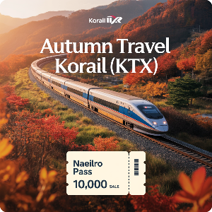 코레일 가을여행 관광열차 50%할인 + 내일로패스 1만원 할인 이미지