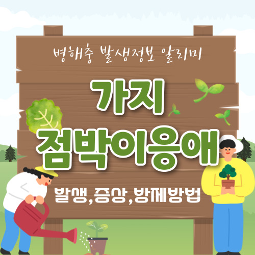 가지 점박이응애 자세히 알아보기(발생,증상,방제법)