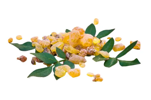 보스웰리아 효능 및 복용시 주의점