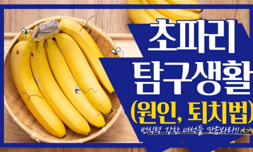 초파리-원인-퇴치법