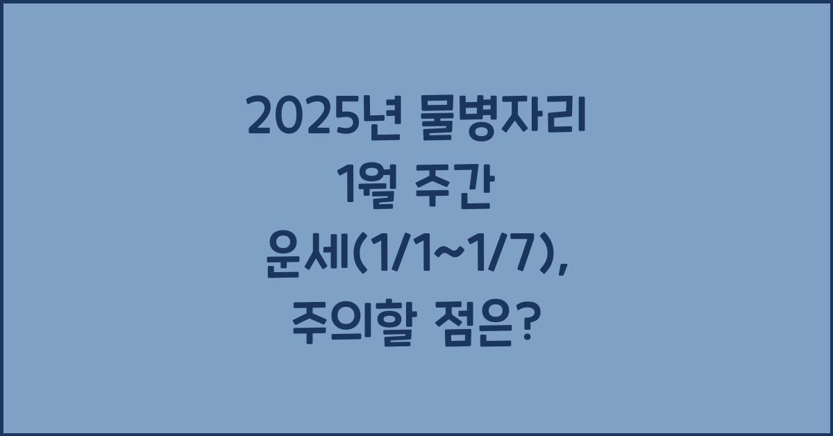 2025년 물병자리 1월 주간 운세(1/1~1/7)