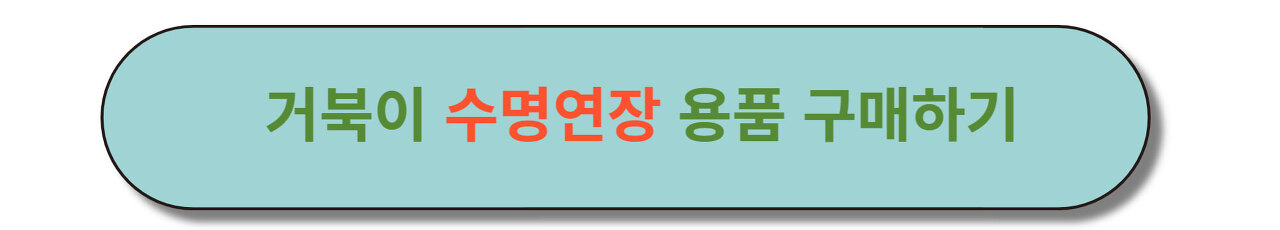 거북이 수명