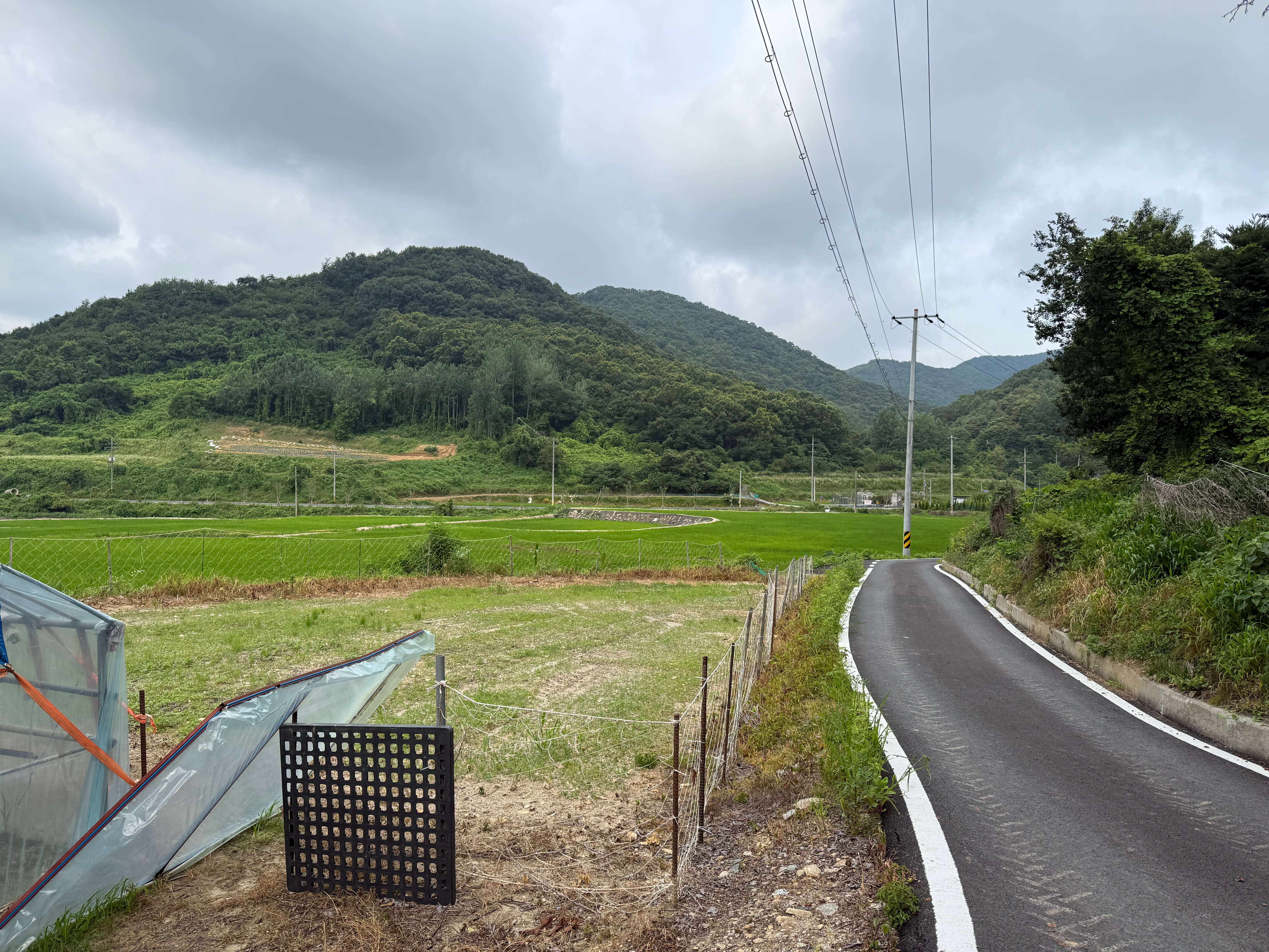 디엠제트 틀어오는 논길