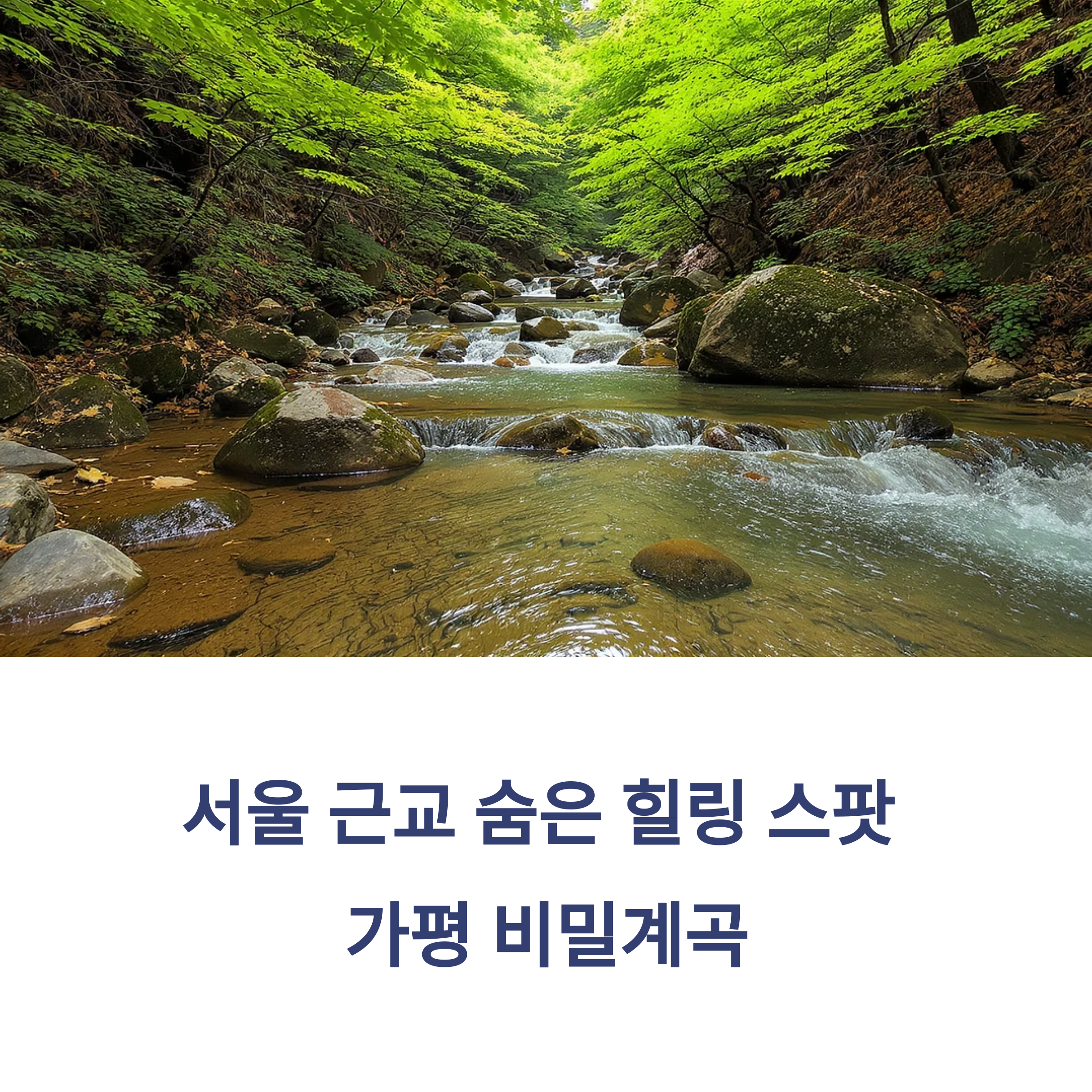 가평 비밀계곡, 서울 근교 힐링스팟