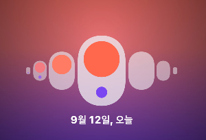생리주기
