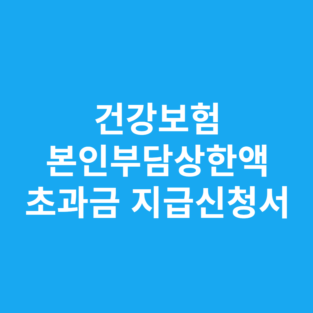 건강보험 본인부담상한액 초과금 지급신청서