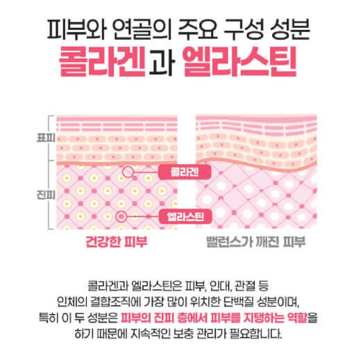 콜라겐이란?