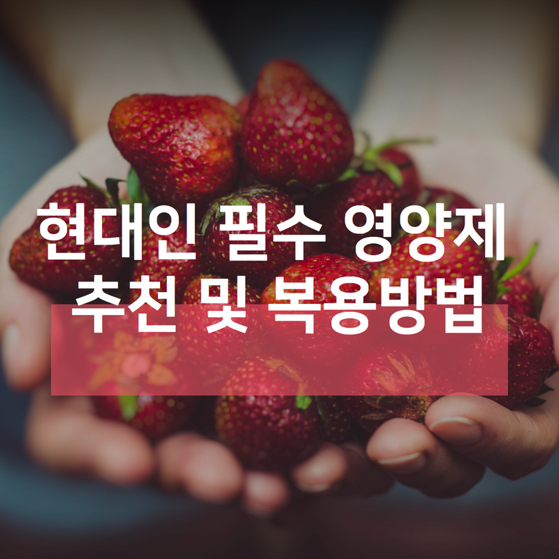 영양제비교정리