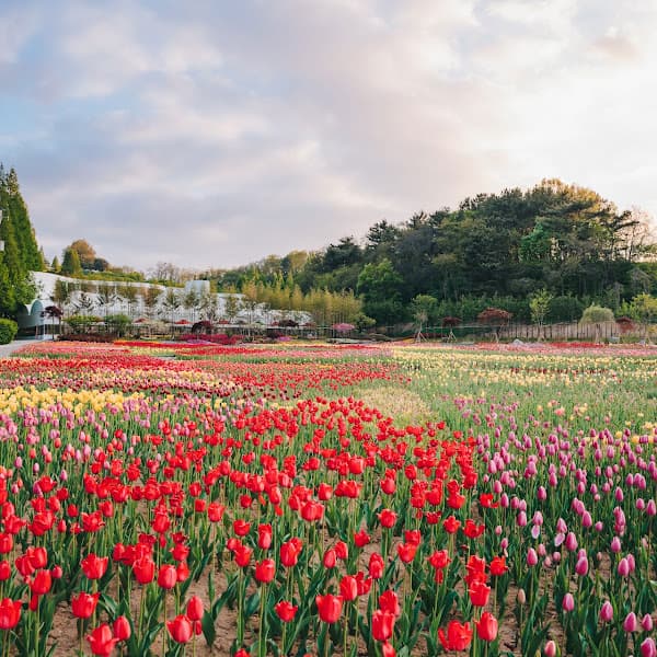 [충남 논산]사계절 내내 머물고 싶은 곳, 피나클랜드 수목원 이야기