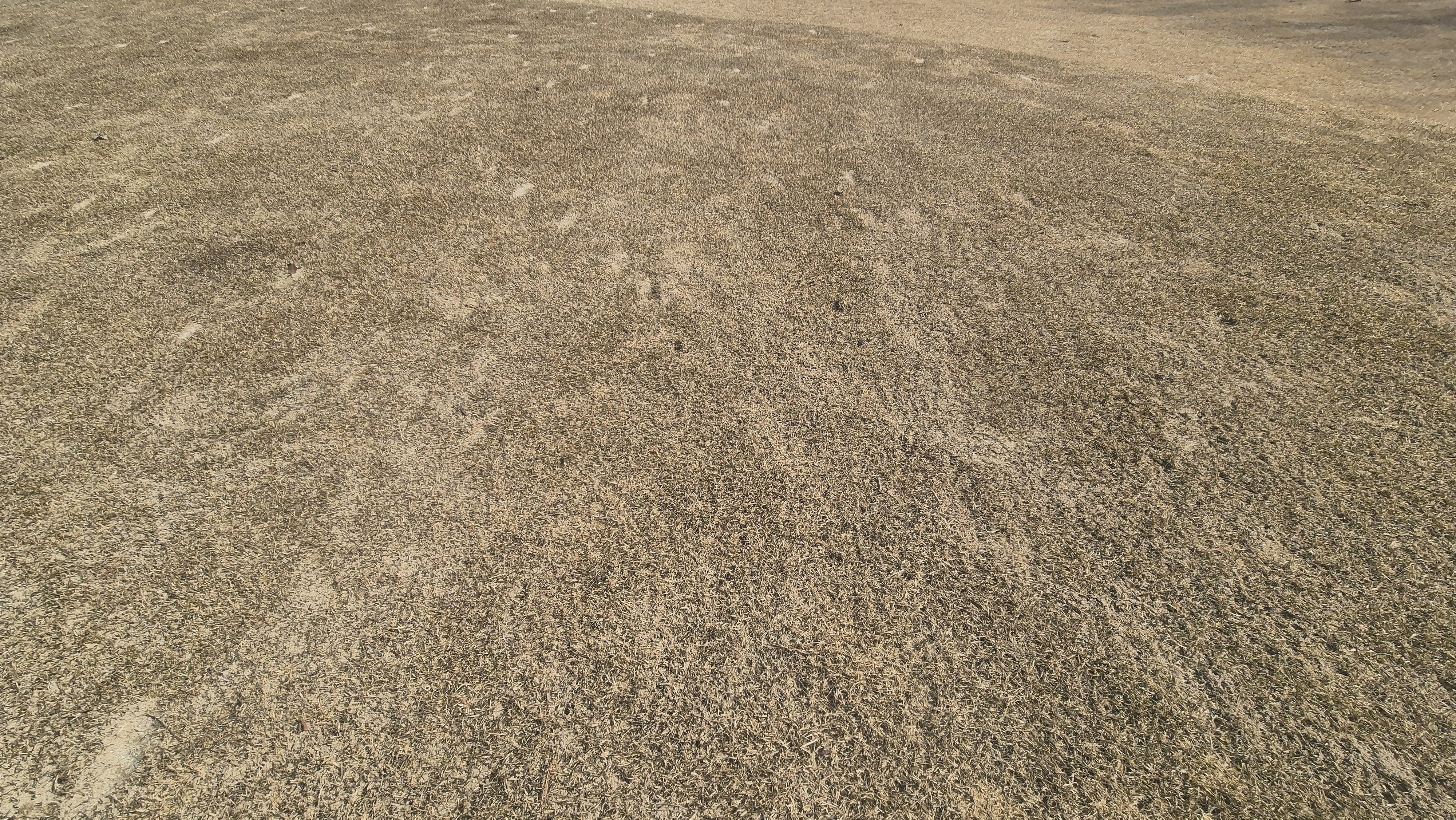 아난티코드gc 잣나무-느티나무 코스 관리상태