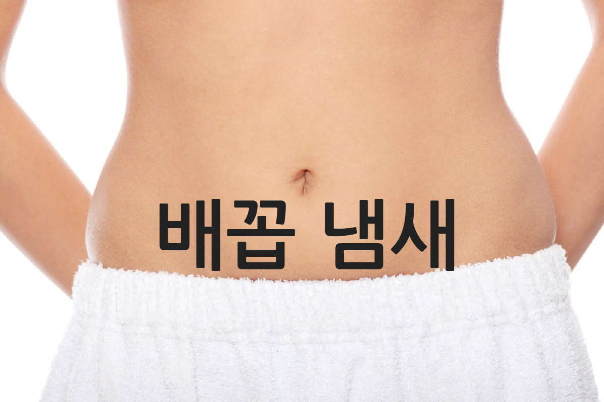 배꼽