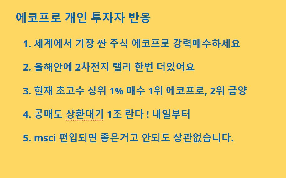 에코프로 개인투자자 반응