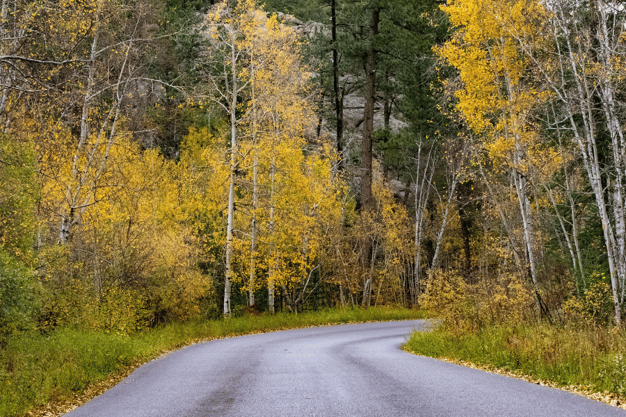 캠핑과 드라이브가 어우러진 남해안 여행 코스