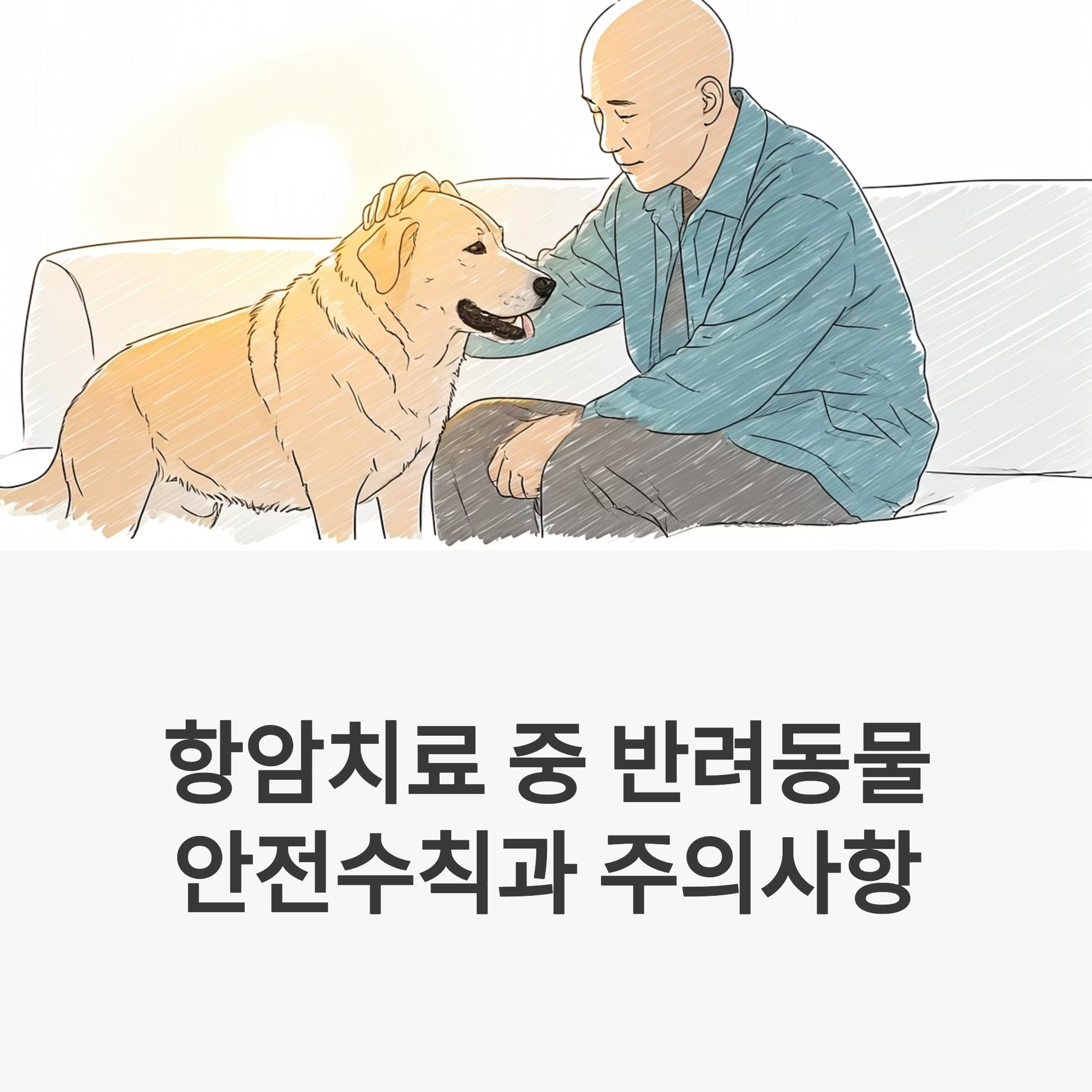 항암치료 반려동물 대표이미지