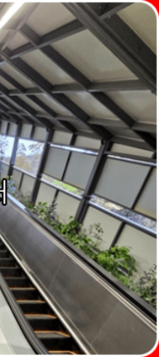 원주 소금산 출렁다리 등산코스, 소요시간