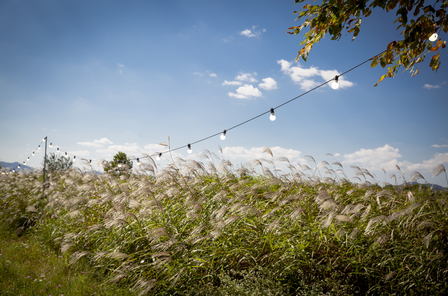 10월 축제 가볼만한 곳