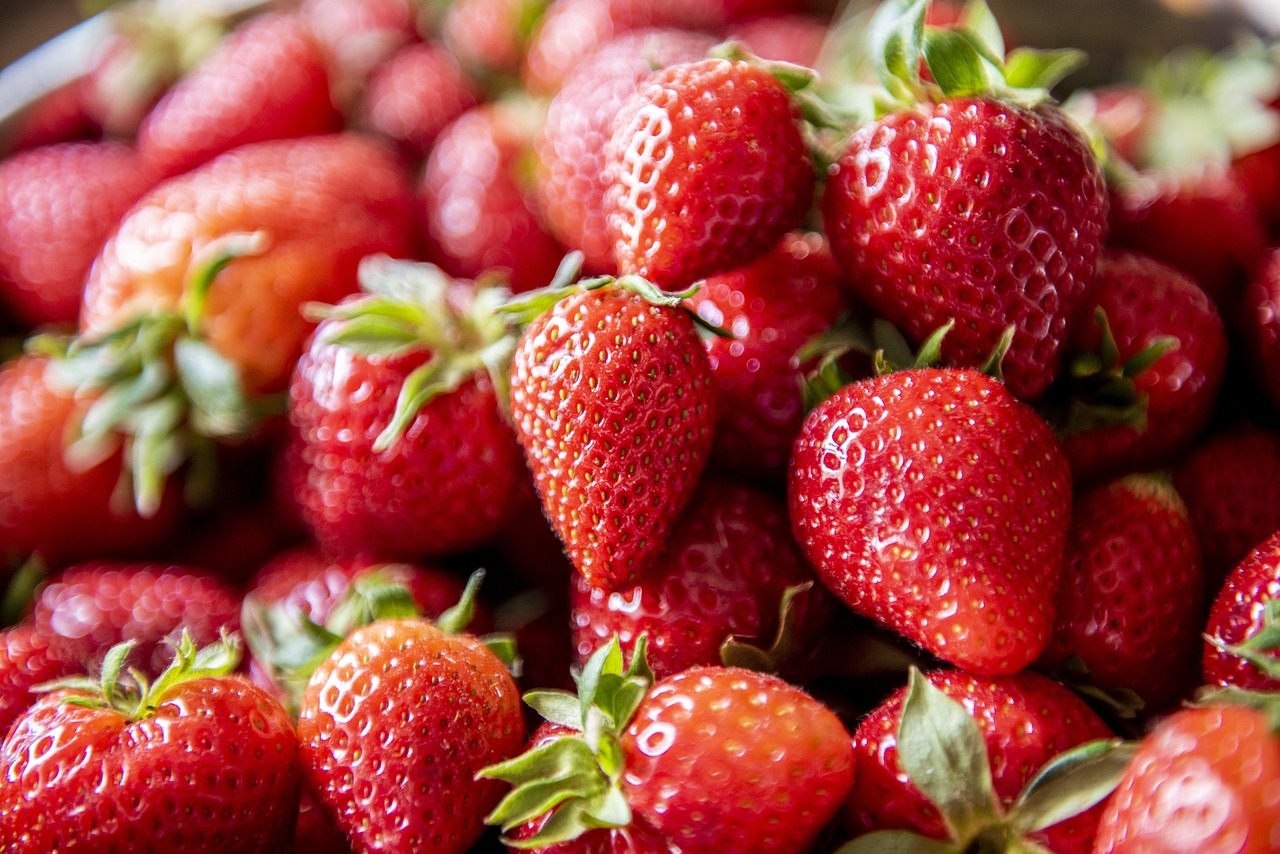 🍓 2025년 논산딸기축제 일정 + 가수 라인업 + 주차 정보 총정리