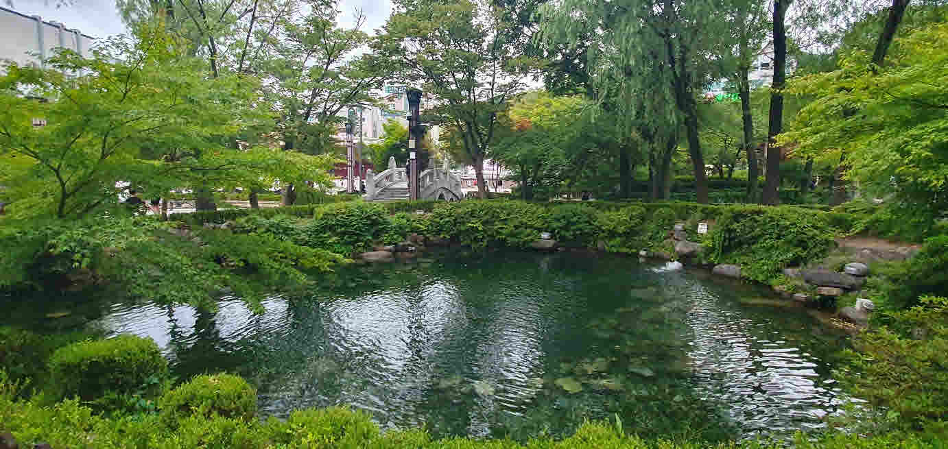 황지연못 중지