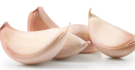 전립선에 좋은 마늘