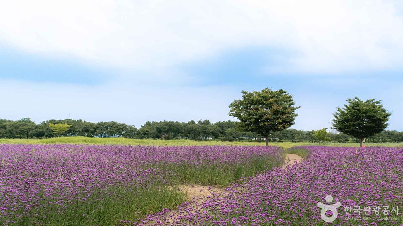시흥 갯골생태공원