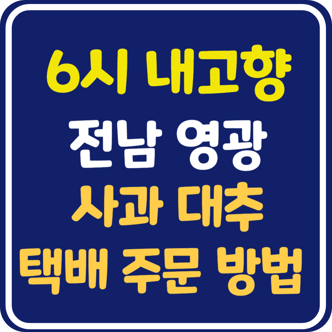 6시 내고향 영광 사과대추 택배 주문 방법