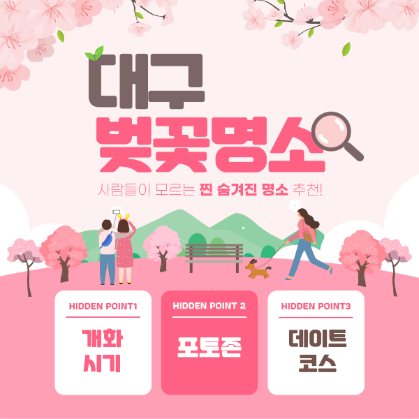 대구 벚꽃명소