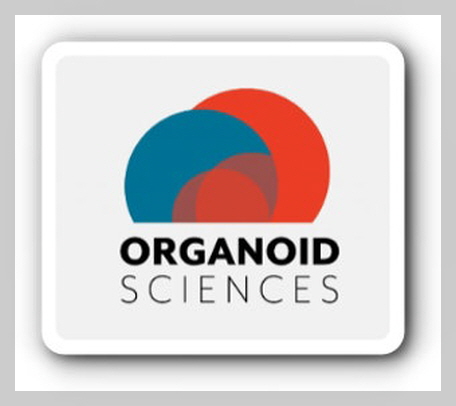 오가노이드사이언스 이미지