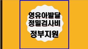 영유아발달 정밀검사비 지원