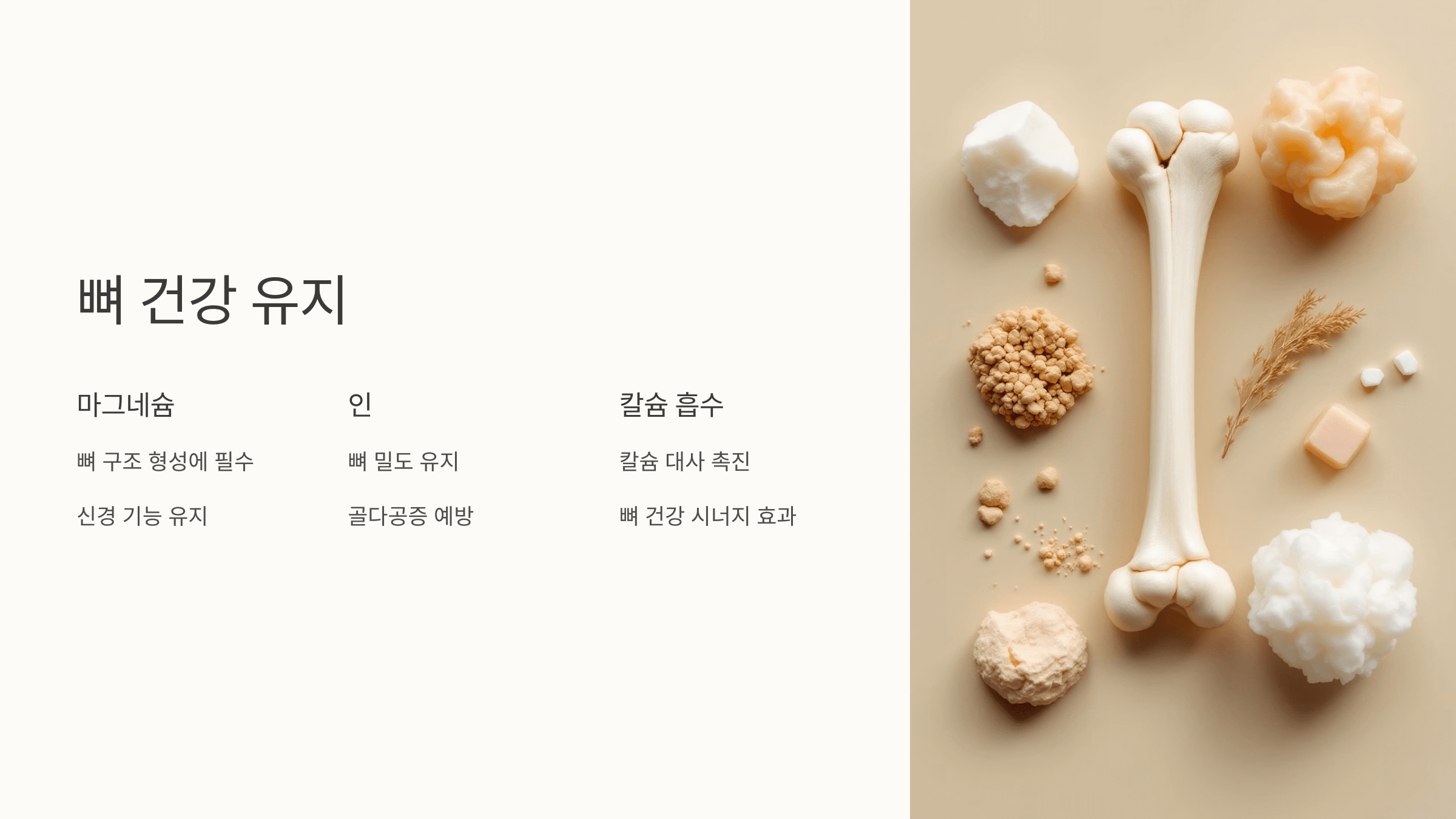 땅콩 사진입니다.