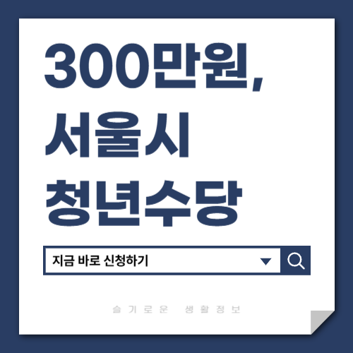 서울시 청년수당
