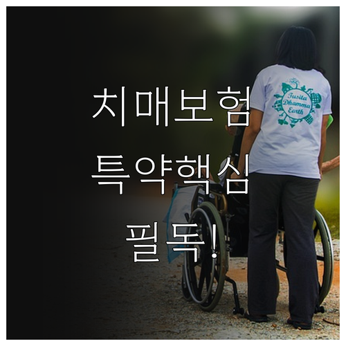 치매 간병 보험 종합형 특약 구성과 ..