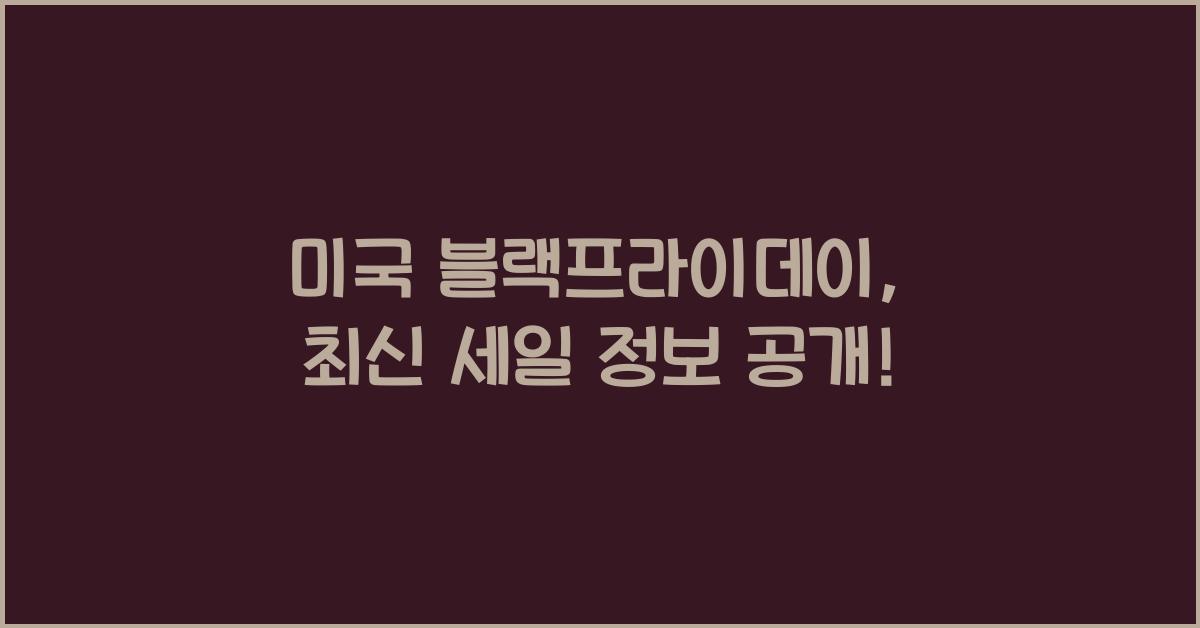 미국 블랙프라이데이