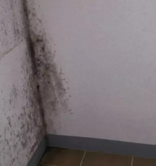 신축아파트-결로현상