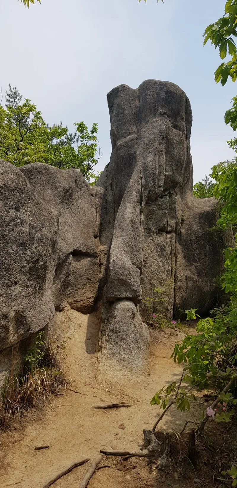 괴산 막장봉 코끼리바위