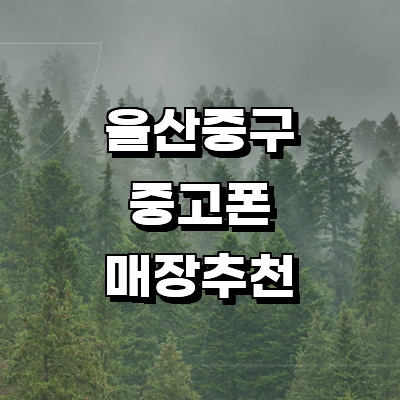 울산 중구 중고폰