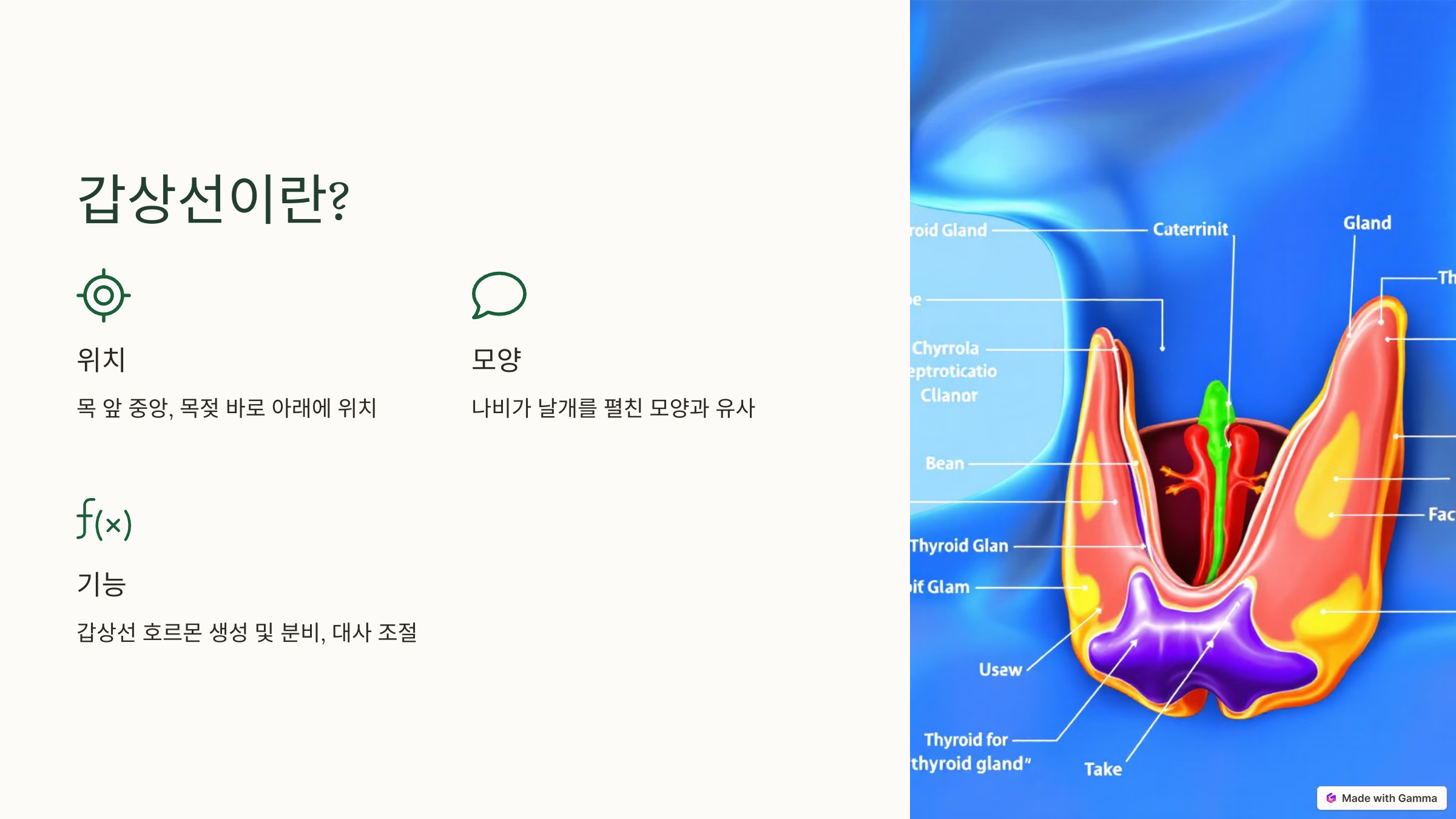 갑상선 기능 항진증