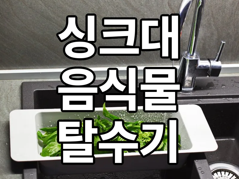 싱크대 음식물