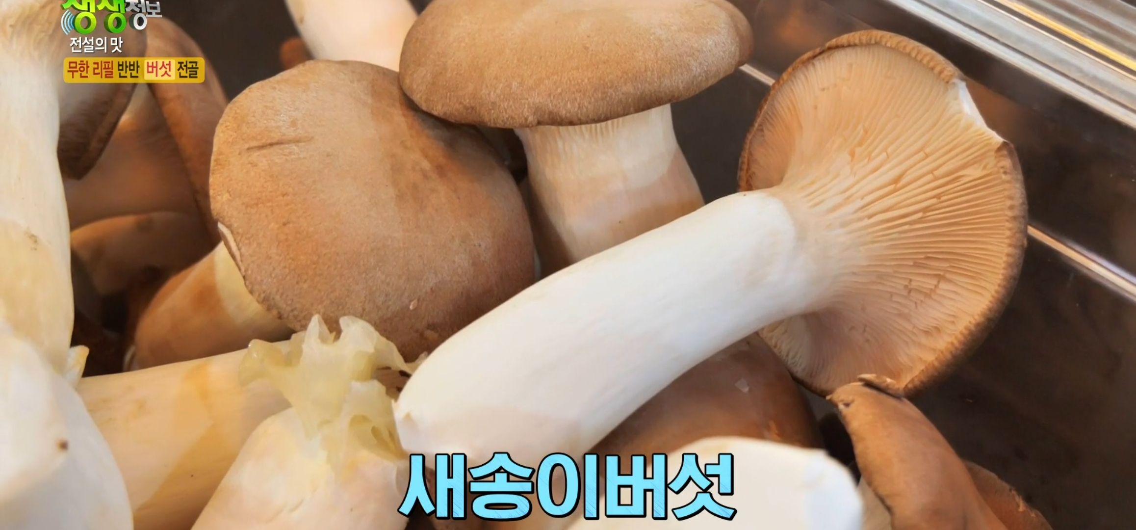 새송이버섯