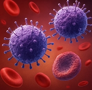 식은땀 나는 이유