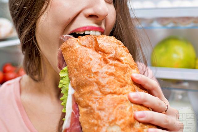 역류성식도염 자가치료 과식