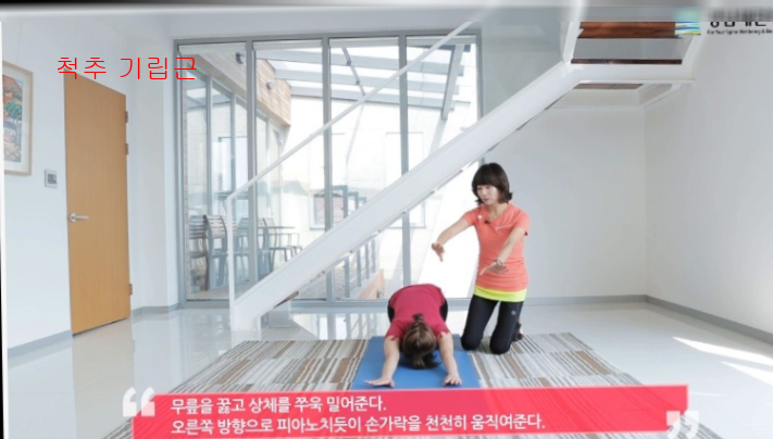 척추 기립근11