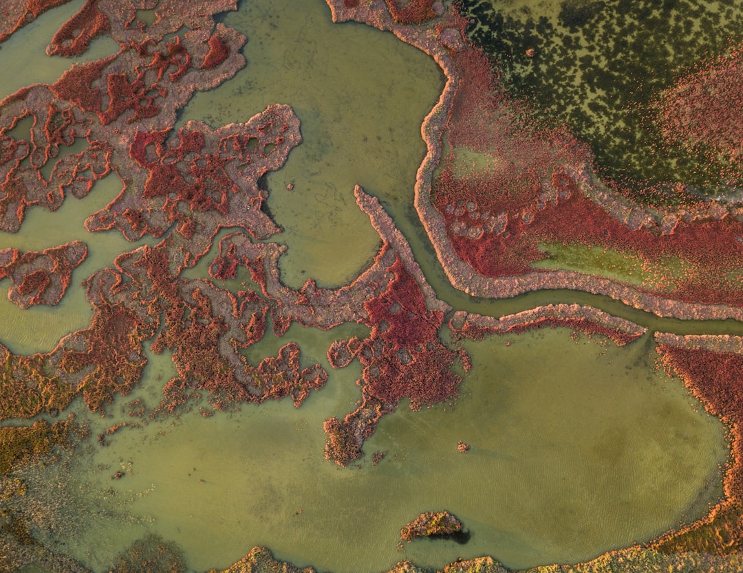 Geospatial