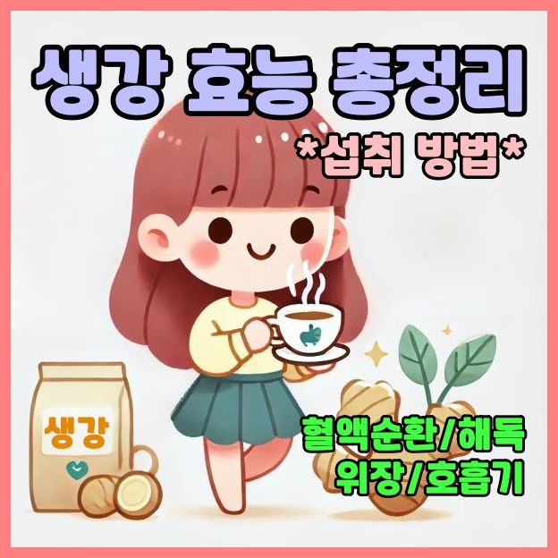 생강 효능 총정리