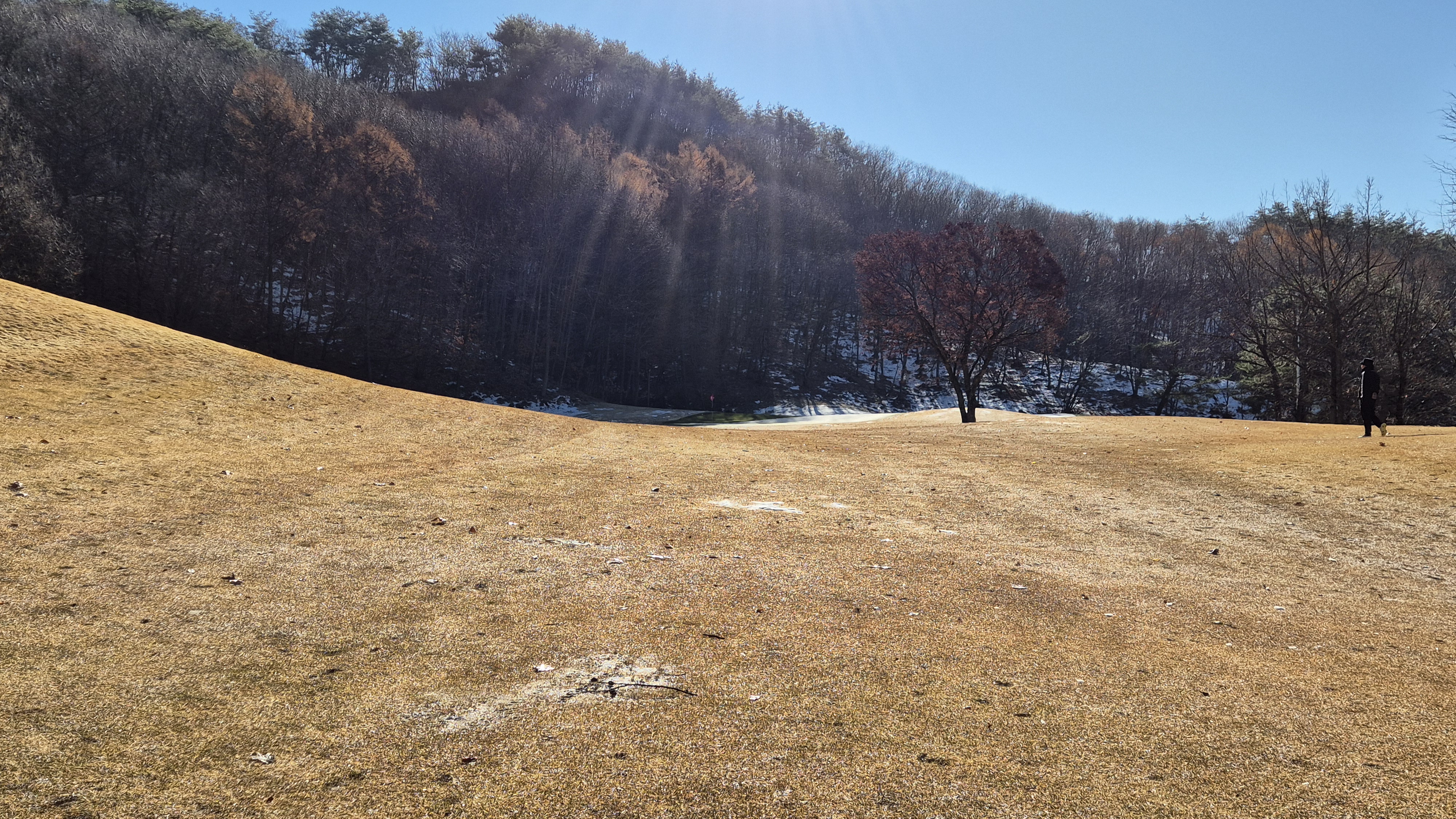 오크밸리cc 오크 코스 사진 및 공략 정보